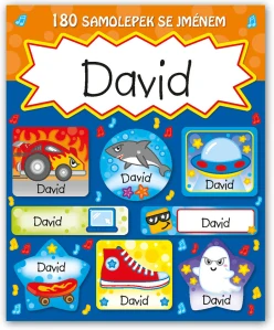 Veselé nálepky samolepky se jménem David
