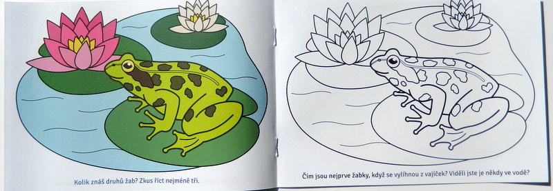 U našeho rybníka - Zvířátkové omalovánky