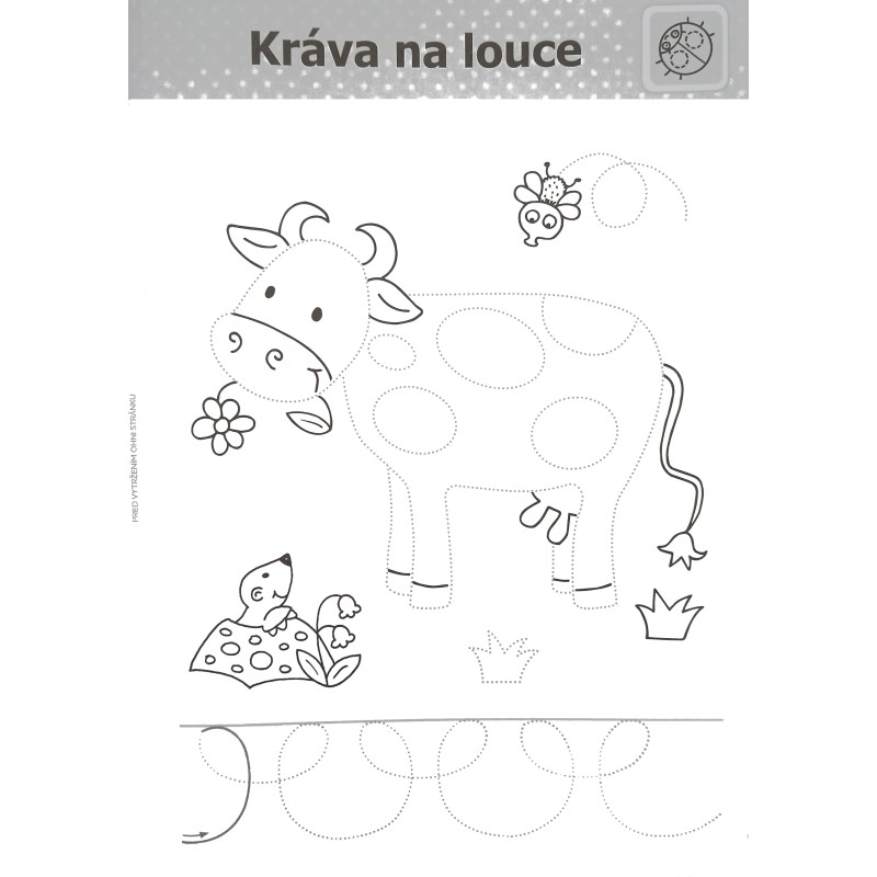 Cestičky Učím se a vybarvuji - Poškozené