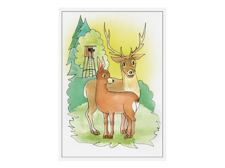 Omalovánky MFP Lesní zvířátka 2