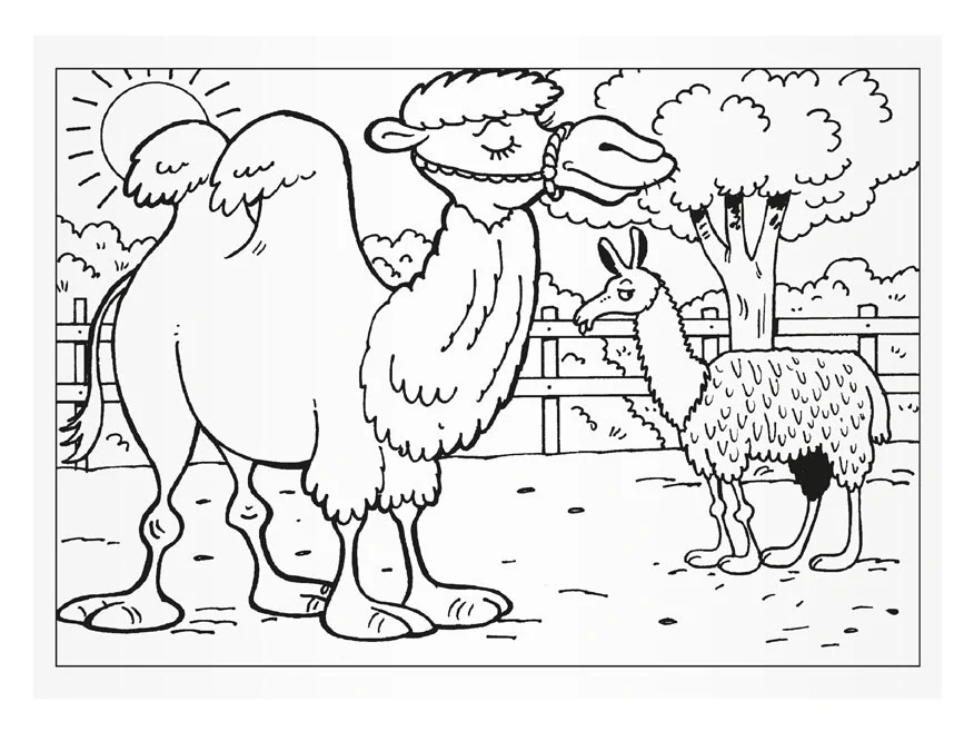 Omalovánky Návštěva v ZOO