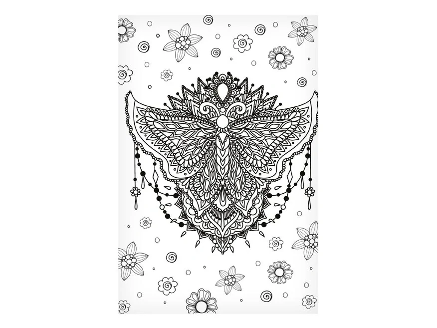 Antistresové omalovánky Kouzelná louka A5