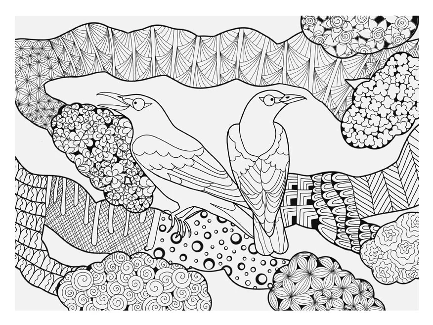 Omalovánky antistresové Ptáci A5